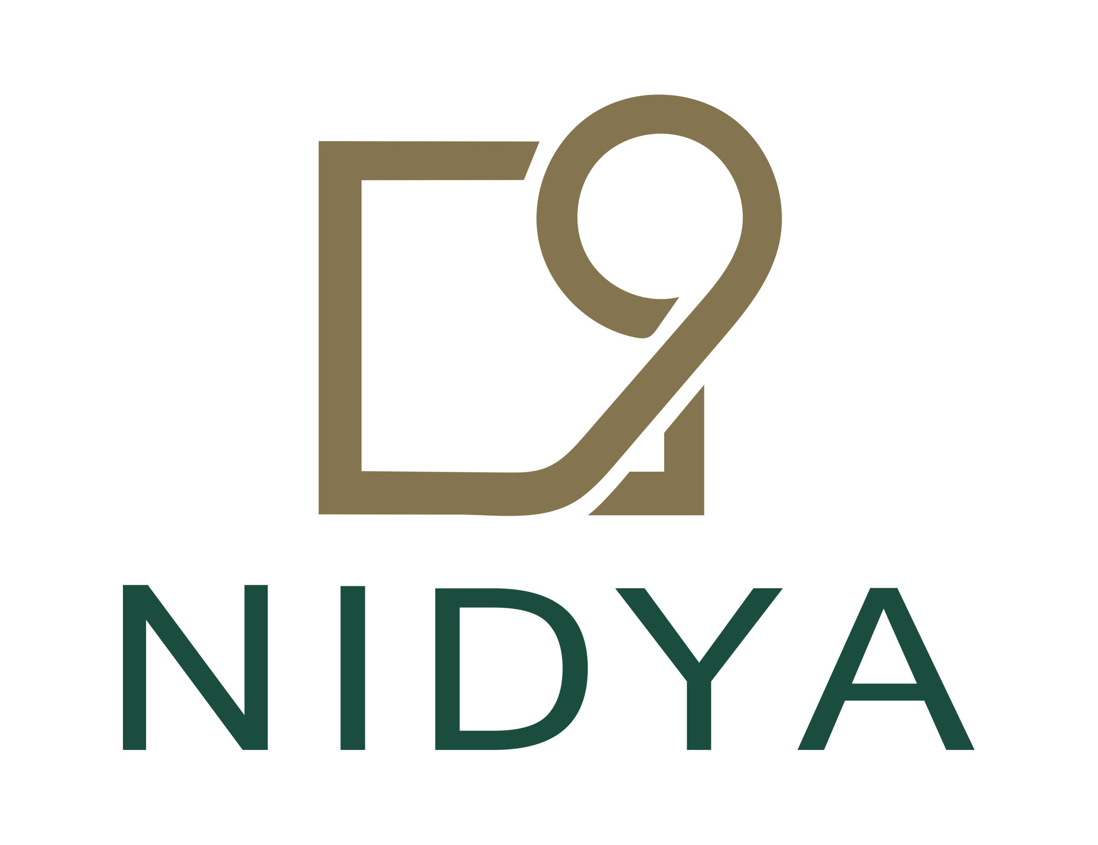 Logo NIDYA